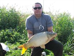 Lates 2011